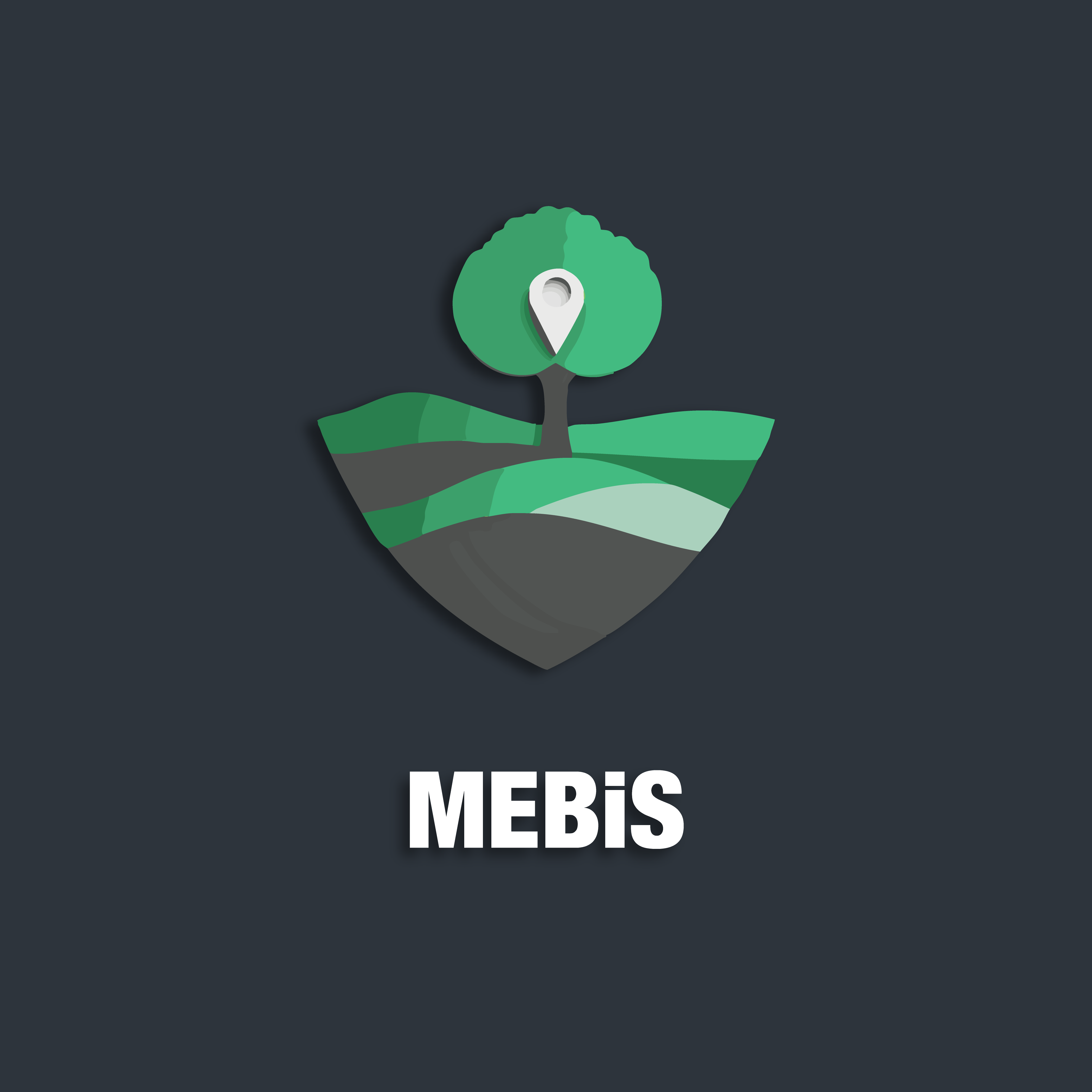 Mebis logo
